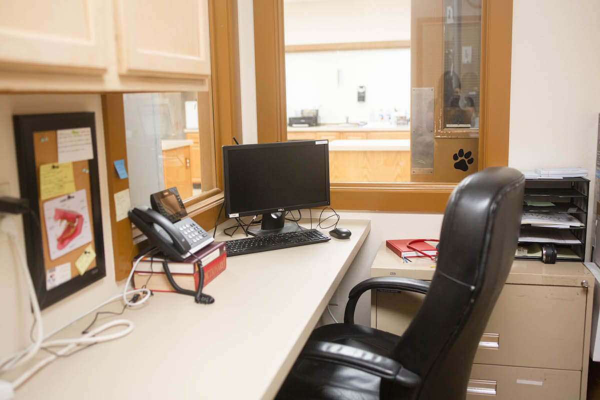 Office Tour 19