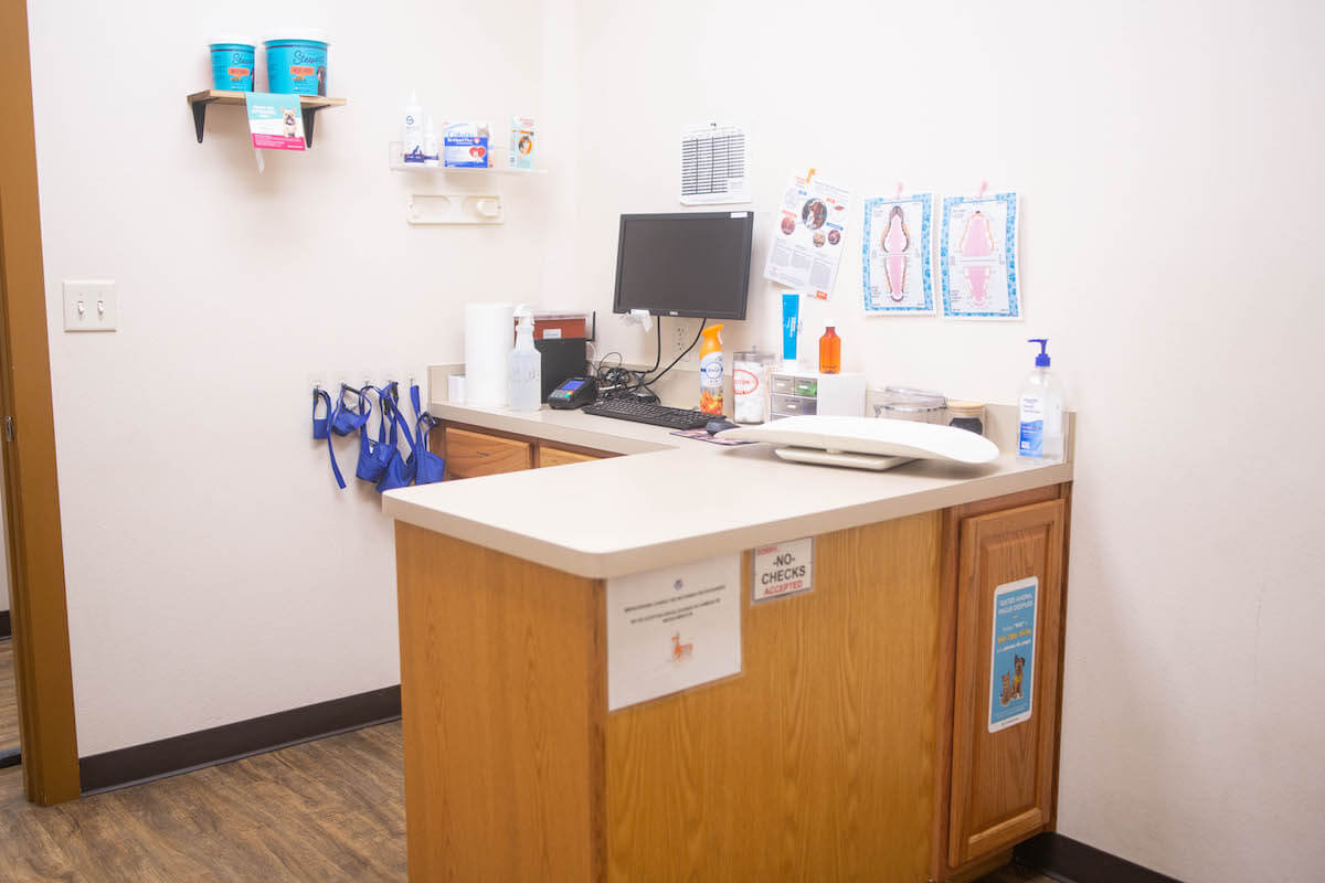 Office Tour Low Cost Pet Vet