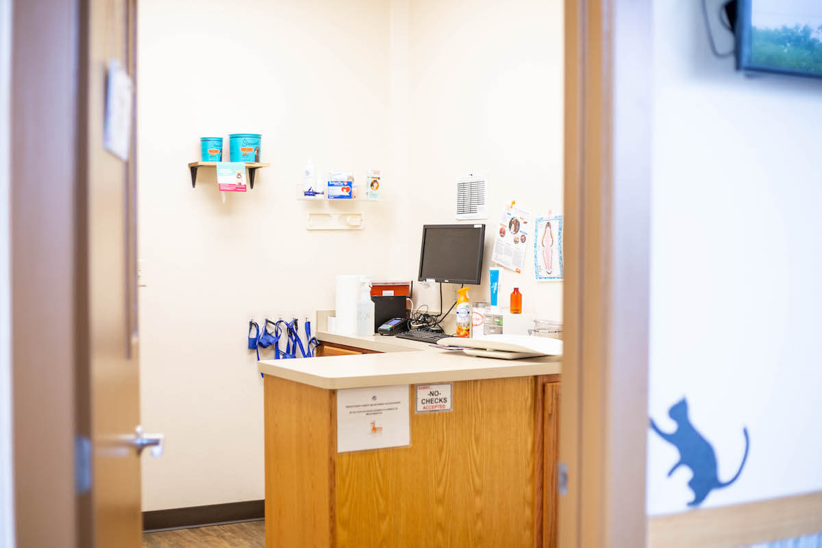 Office Tour Low Cost Pet Vet