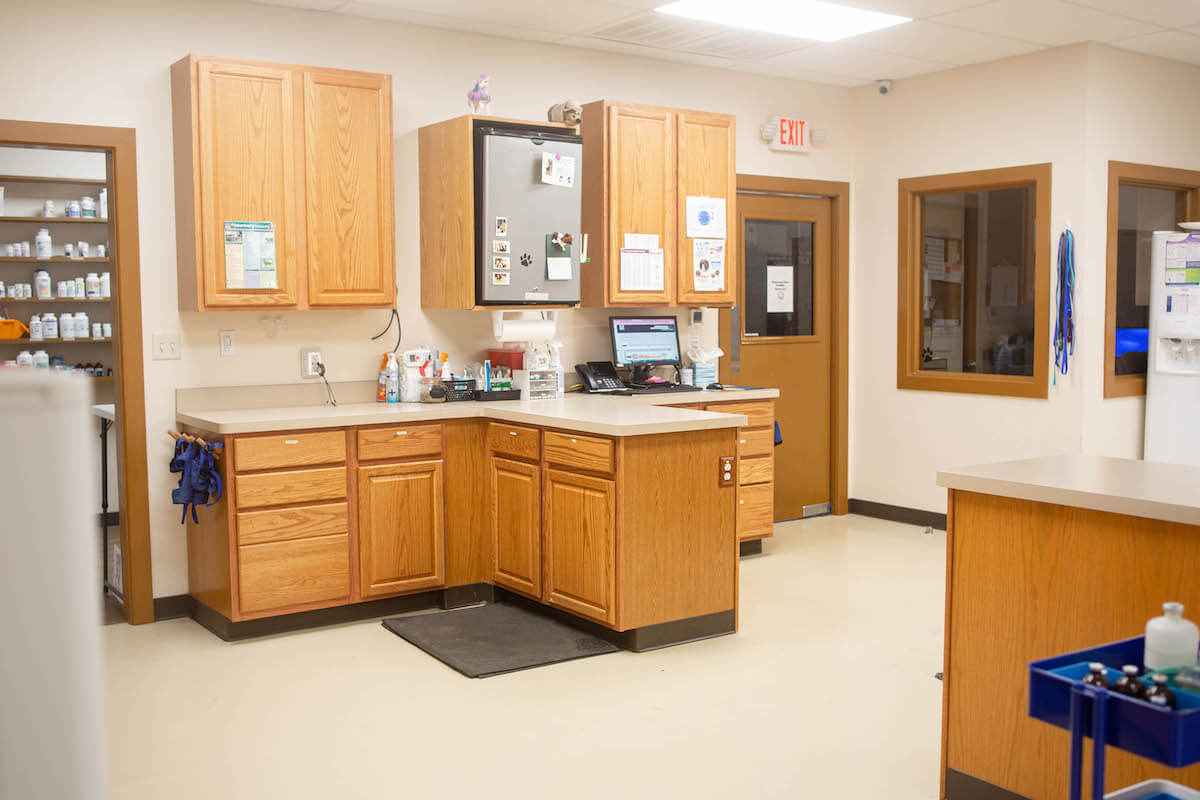 Office Tour 36