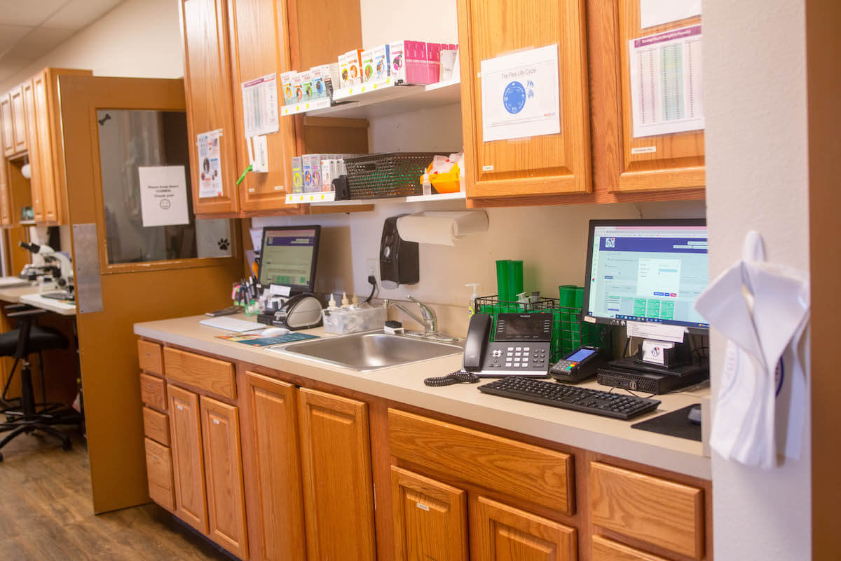 Office Tour 8