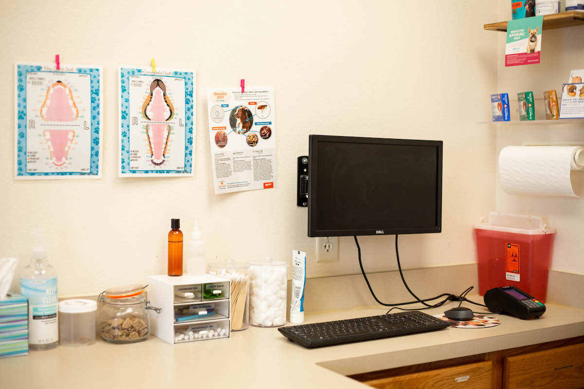 Office Tour 18