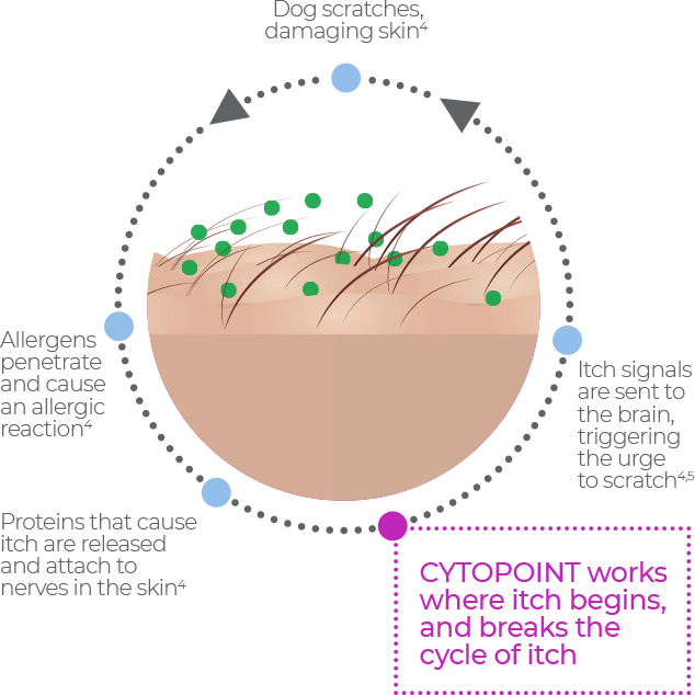 Cytopoint