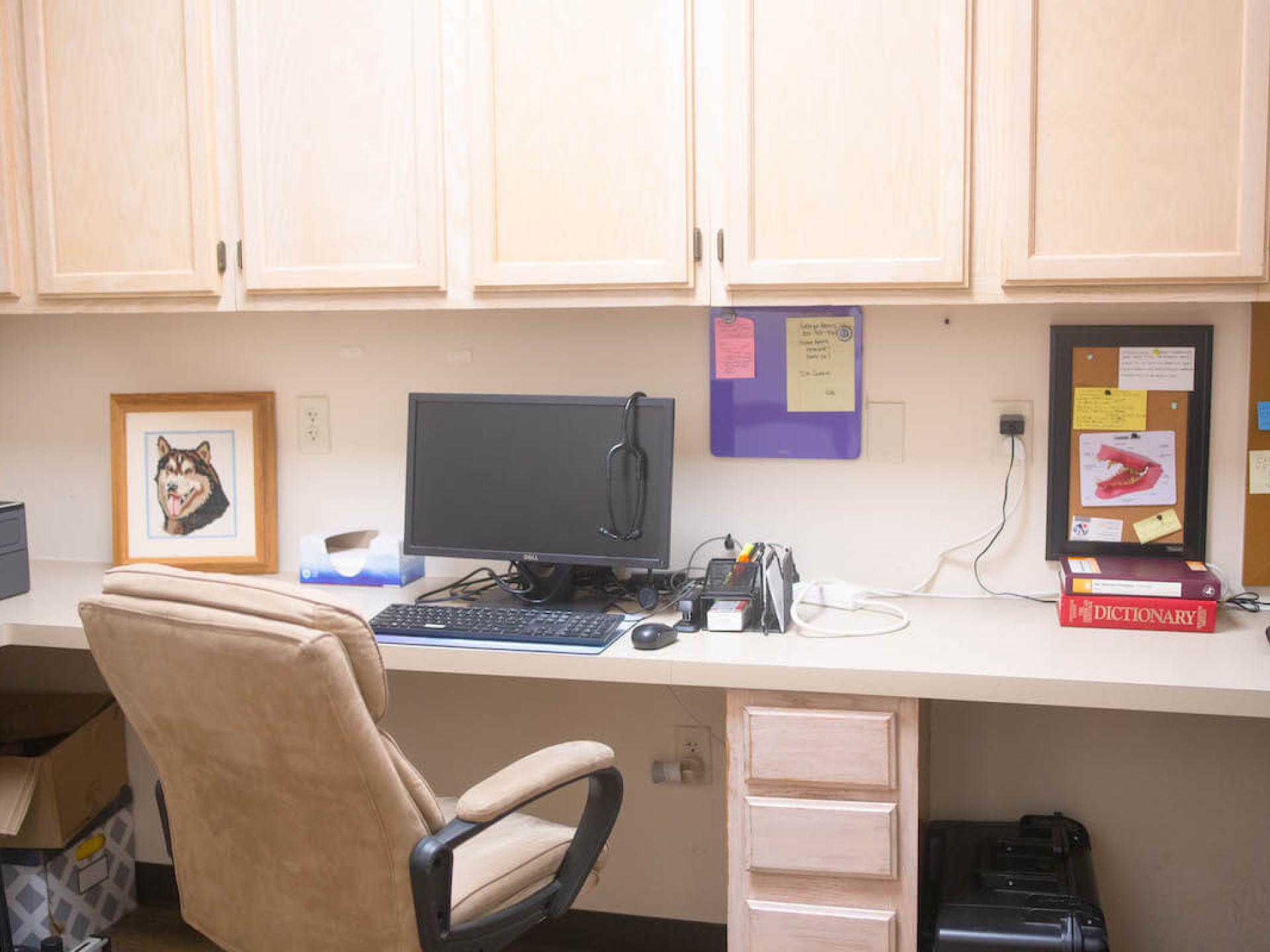 Office Tour 20 Low Cost Pet Vet