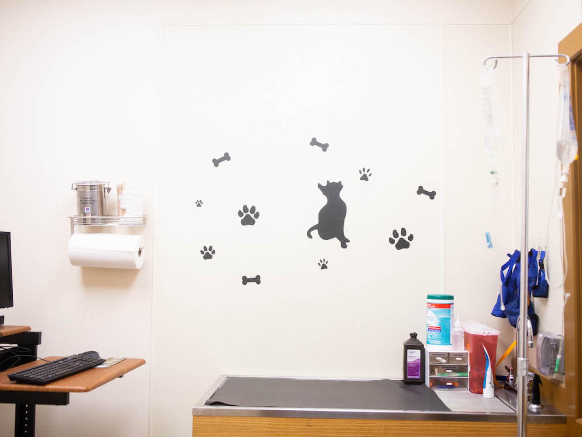 Office Tour 22 Low Cost Pet Vet