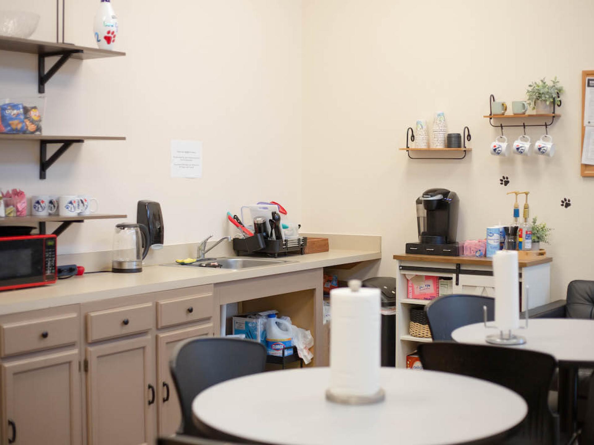 Office Tour 30 Low Cost Pet Vet