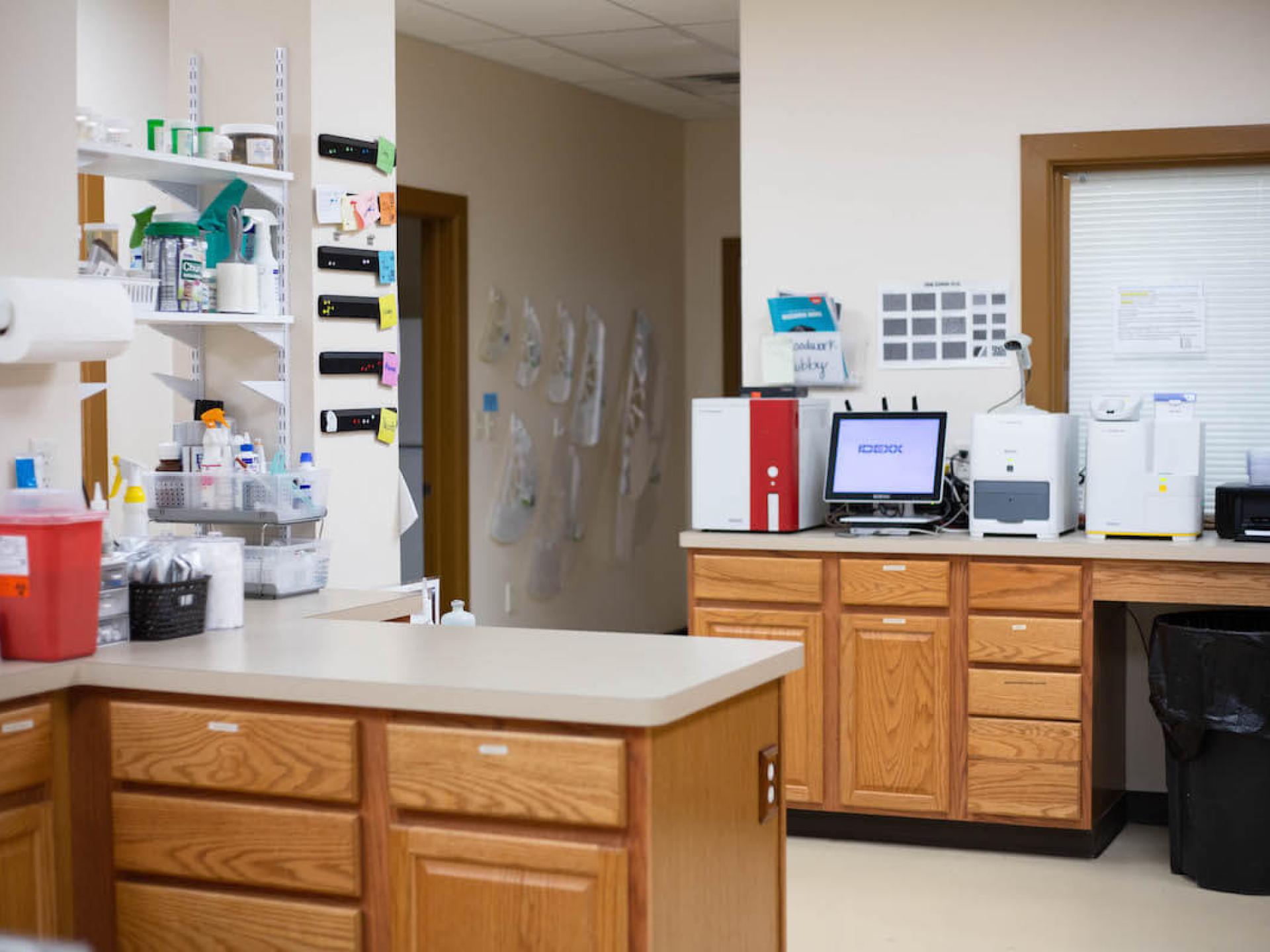 Office Tour 32 Low Cost Pet Vet