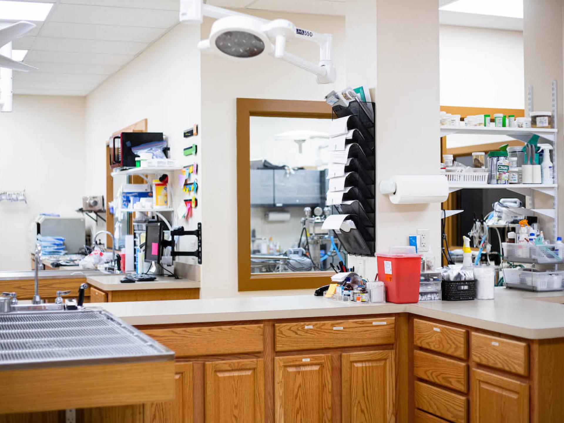 Office Tour 33 Low Cost Pet Vet