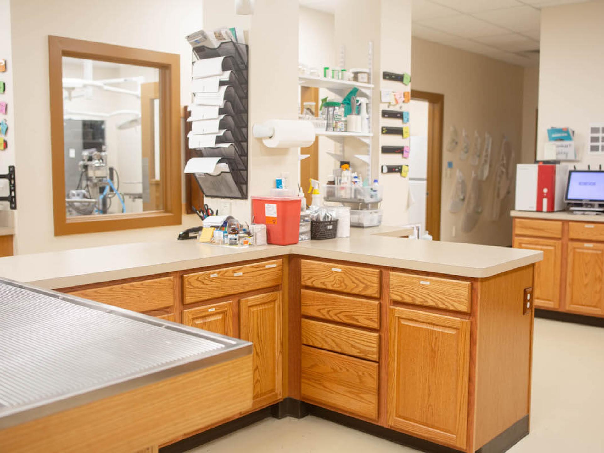 Office Tour 35 Low Cost Pet Vet