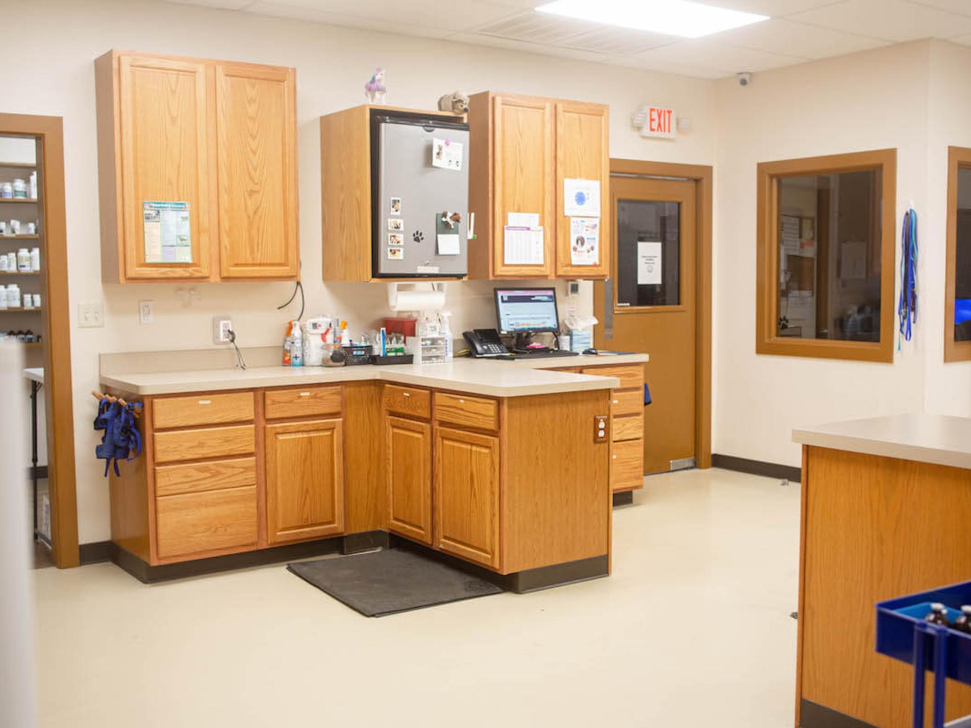 Office Tour 36 Low Cost Pet Vet