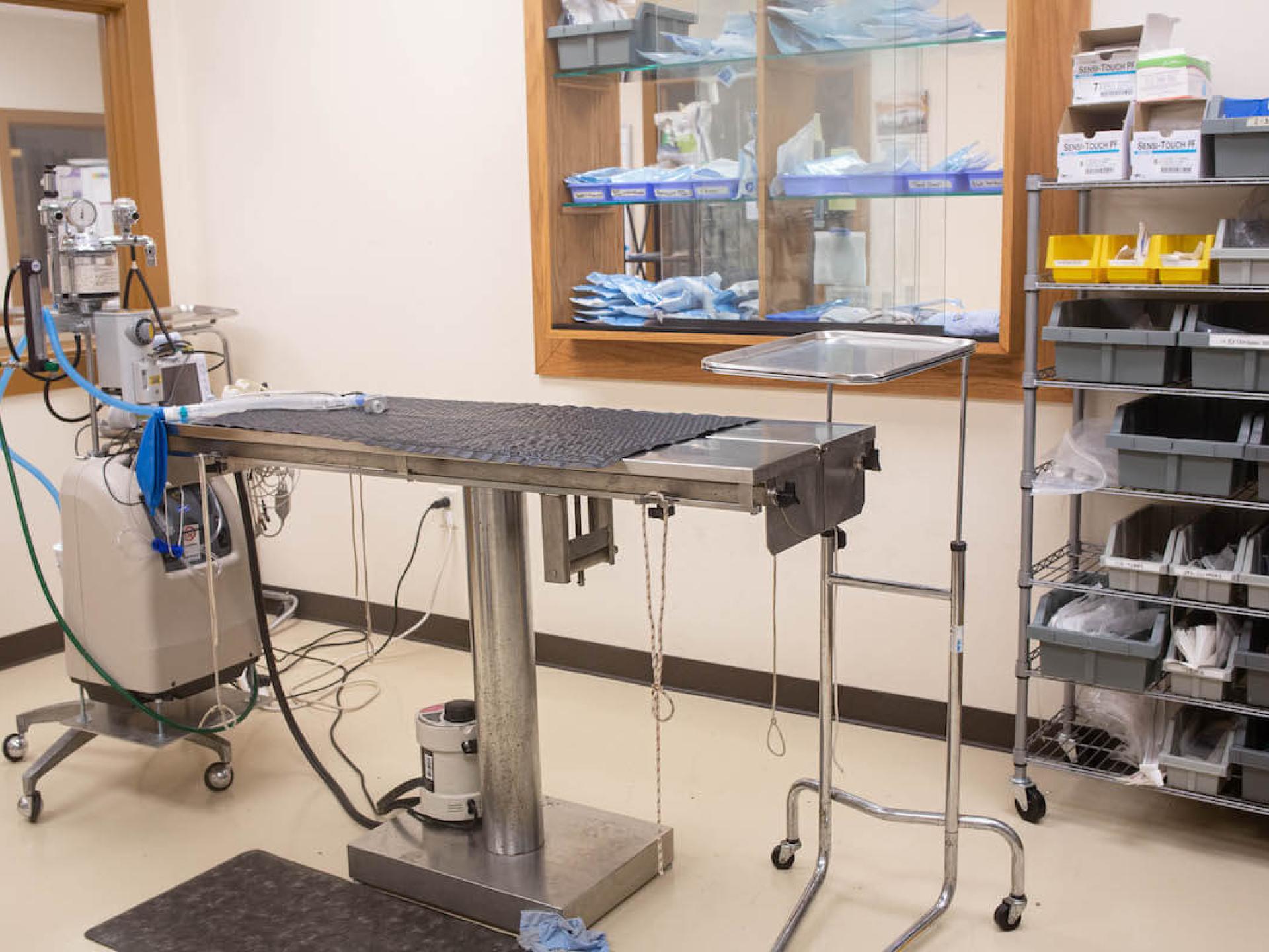 Office Tour 38 Low Cost Pet Vet