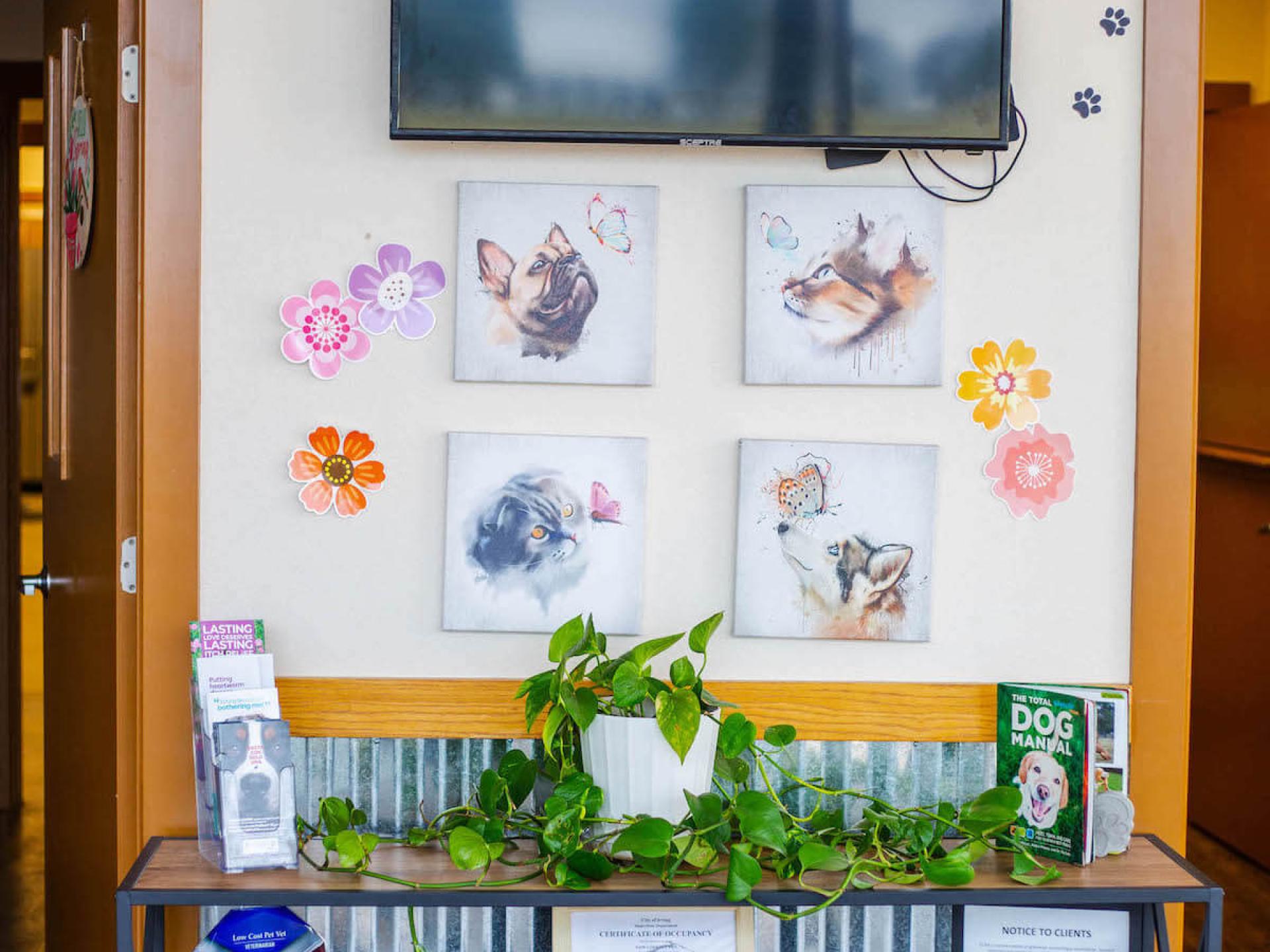 Office Tour 12 Low Cost Pet Vet