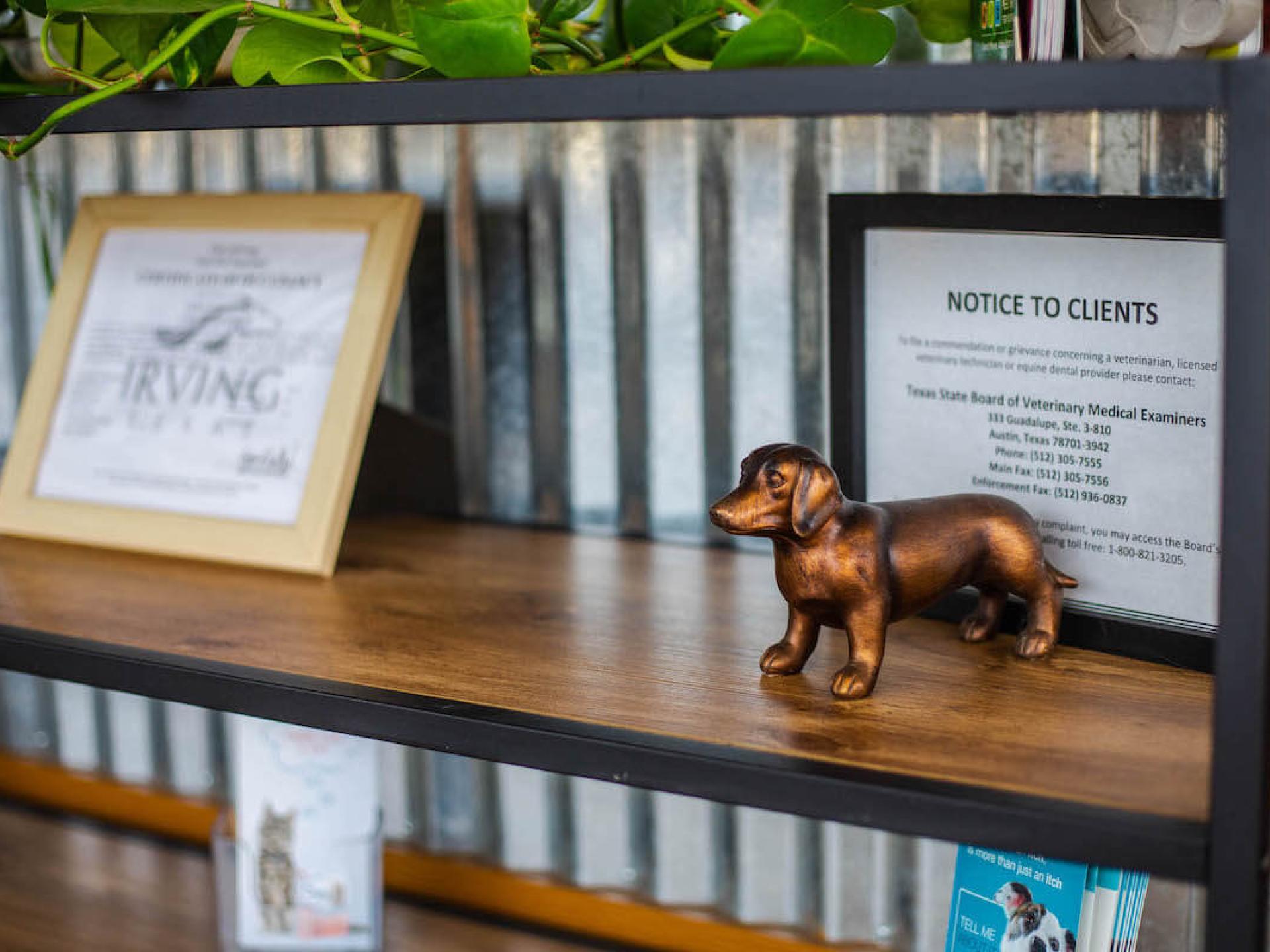 Office Tour 13 Low Cost Pet Vet