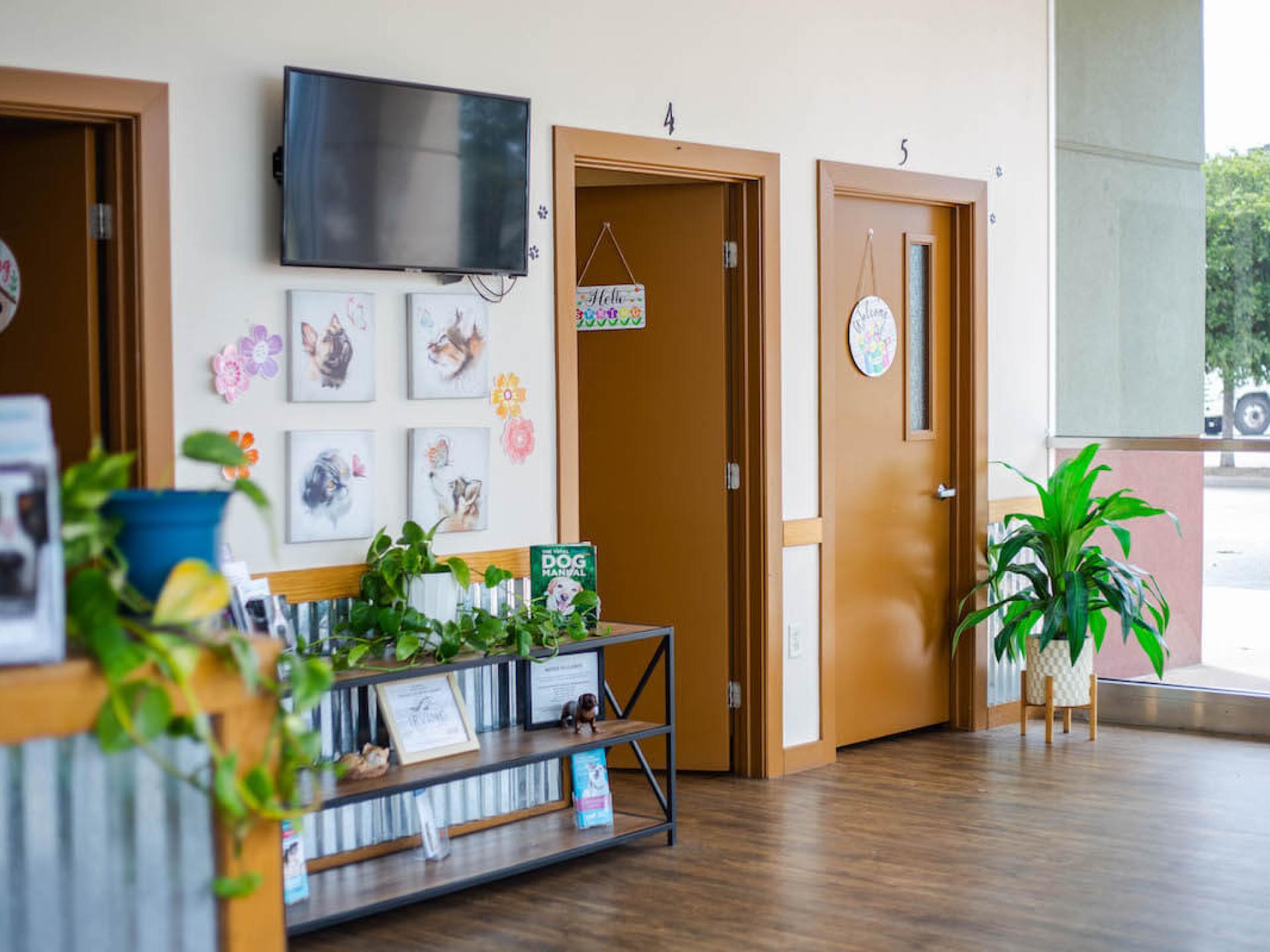 Office Tour 16 Low Cost Pet Vet