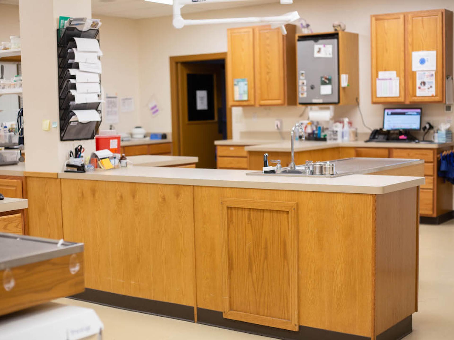 Office Tour 1 Low Cost Pet Vet