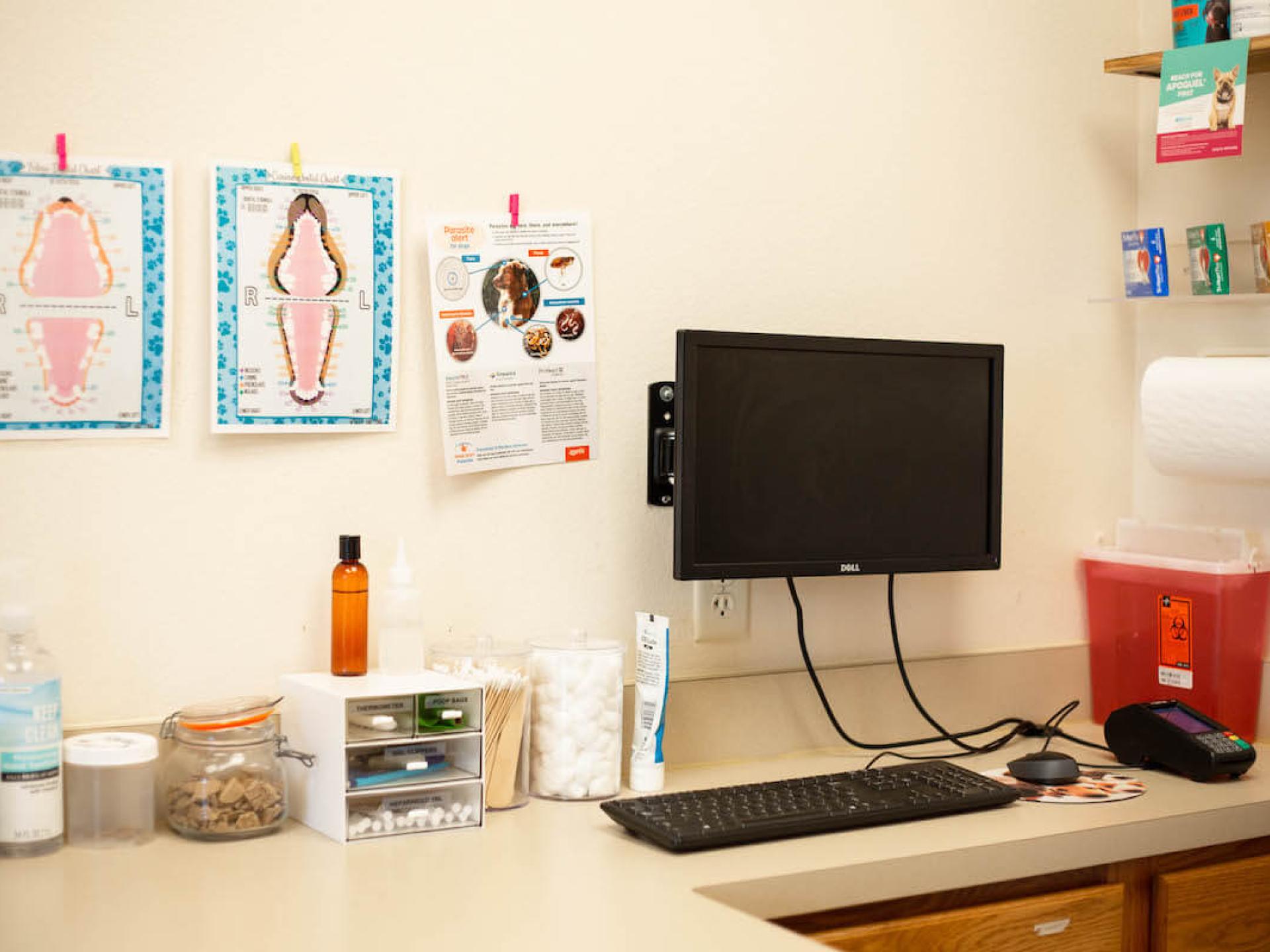 Office Tour 18 Low Cost Pet Vet